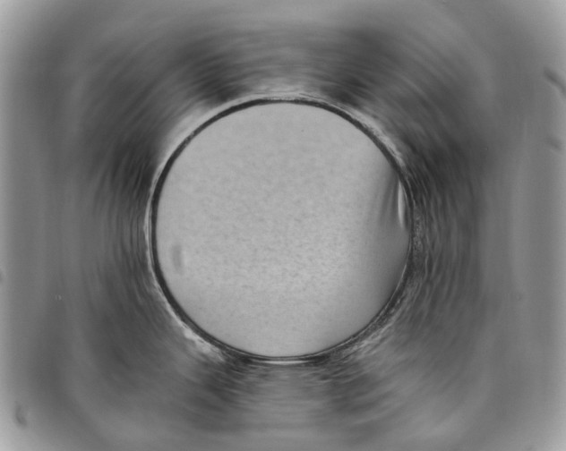 X0000097791343200803281715