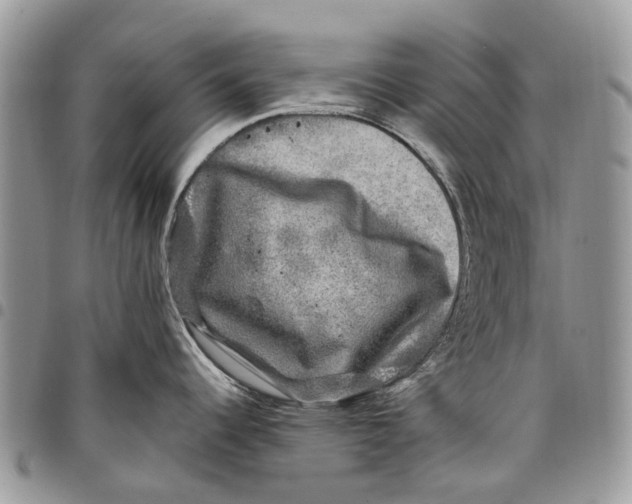 X0000097791344200803281715