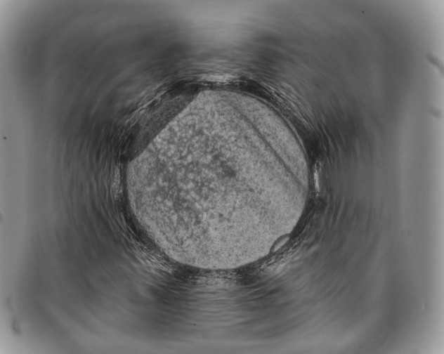 X0000097791347200803281714