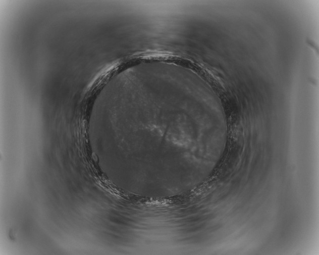 X0000097791351200803281714