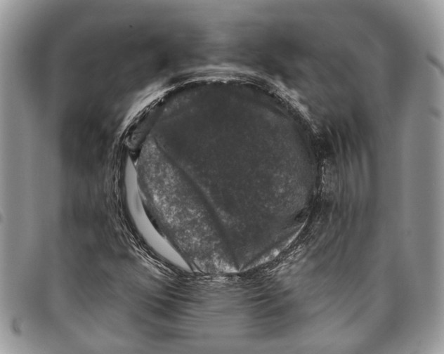 X0000097791352200803281714