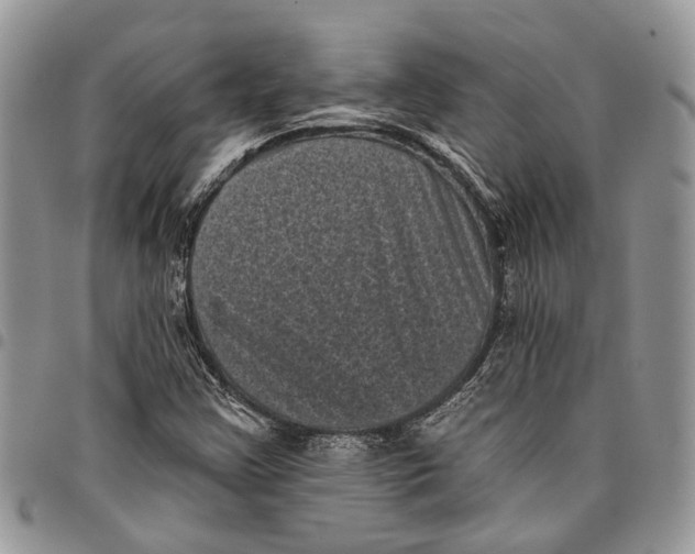 X0000097791355200803281714