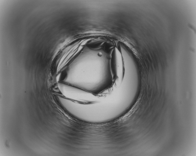 X0000097791357200803281714