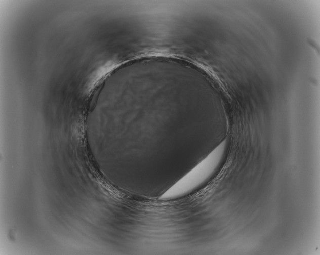 X0000097791359200803281714