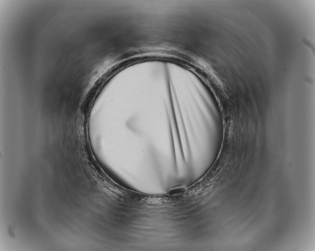 X0000097791360200803281714