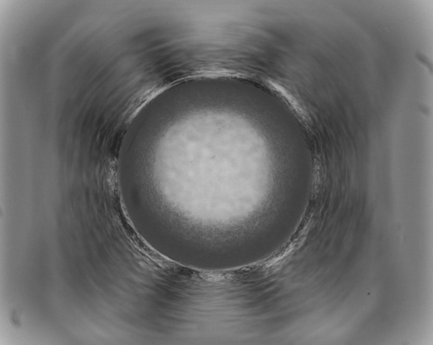 X0000097791361200803281714