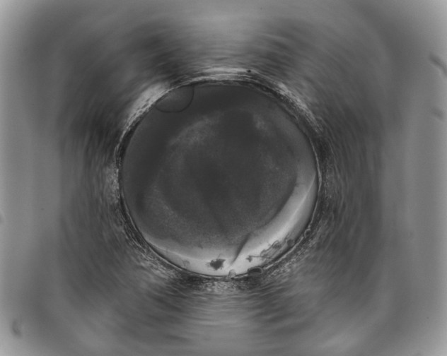 X0000097791362200803281714