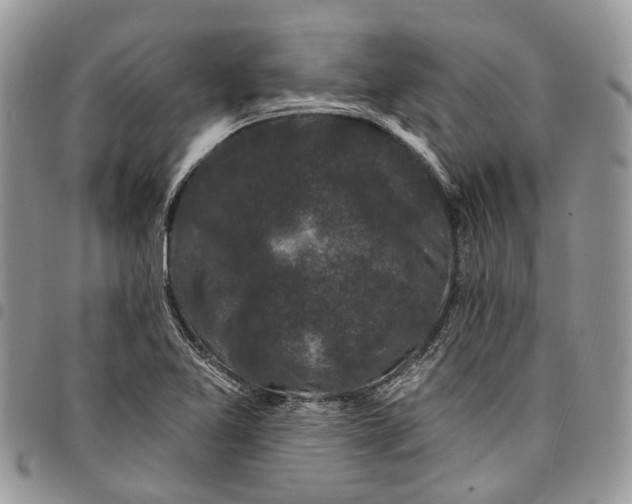 X0000097791365200803281714