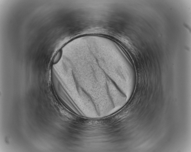 X0000097791366200803281714