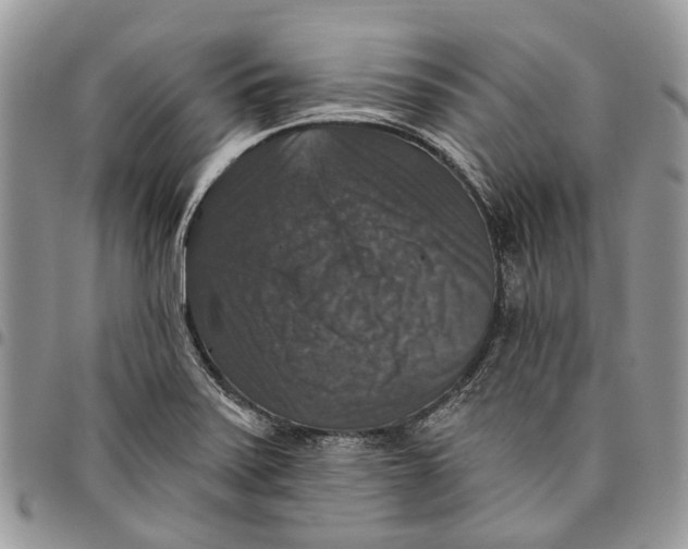 X0000097791371200803281714