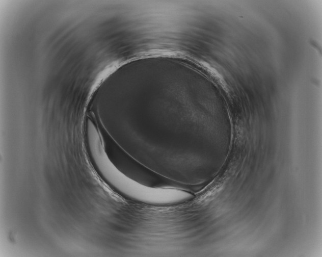 X0000097791373200803281714