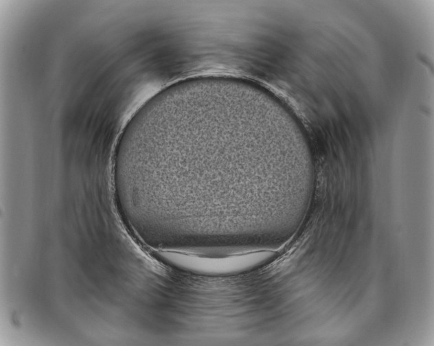 X0000097791375200803281714