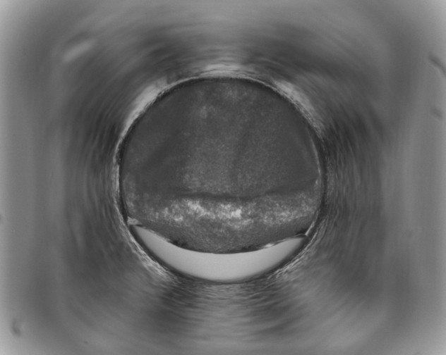 X0000097791376200803281714