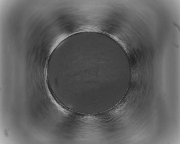 X0000097791383200803281714