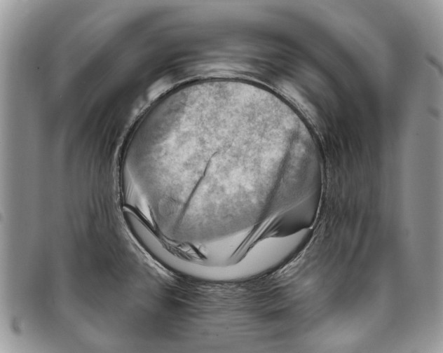 X0000097791384200803281714