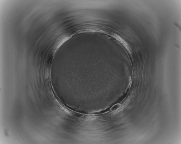 X0000097791385200803281714