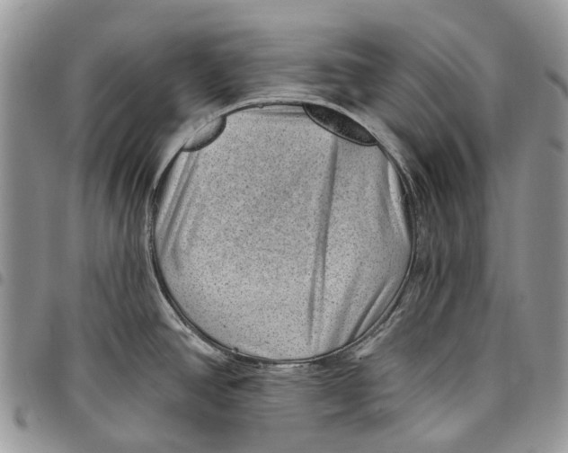 X0000097791390200803281714