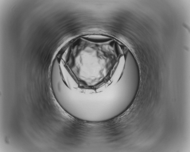 X0000097791392200803281714