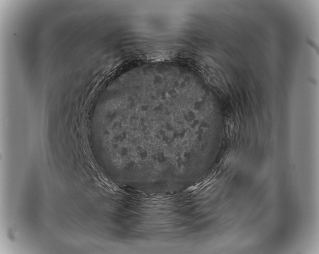 X0000097791393200803281713