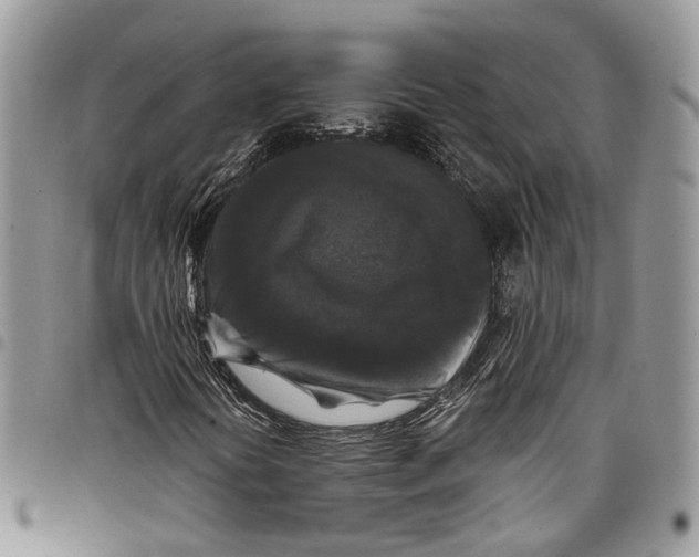 X0000097791394200803281713