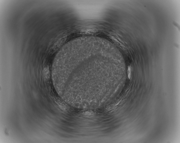 X0000097791395200803281713