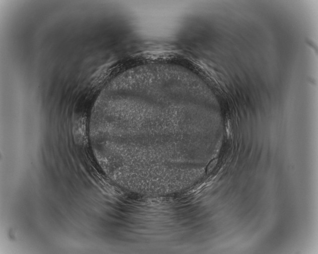 X0000097791396200803281713