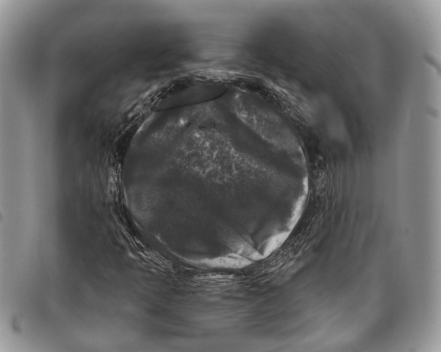 X0000097791397200803281713