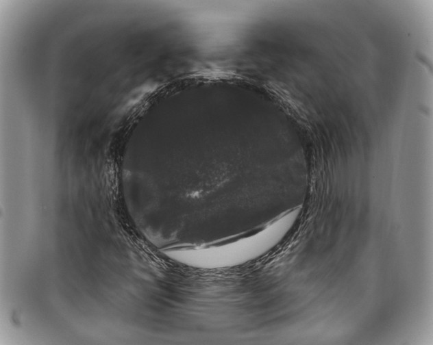 X0000097791398200803281713