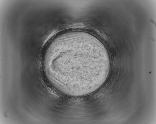 X0000097791400200803281713