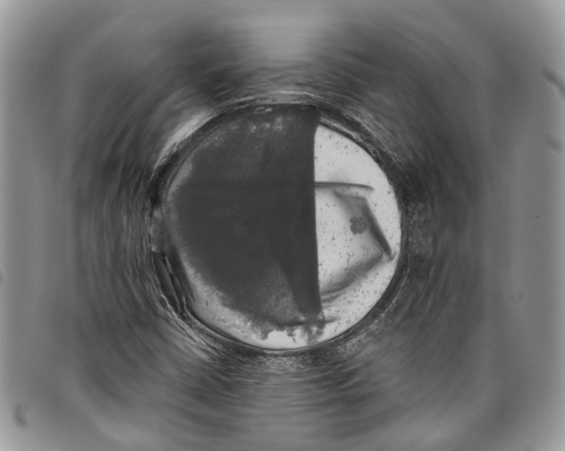 X0000097791402200803281713