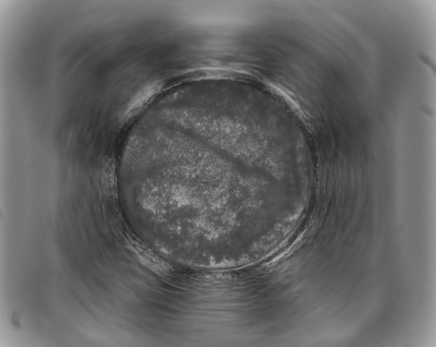 X0000097791403200803281713