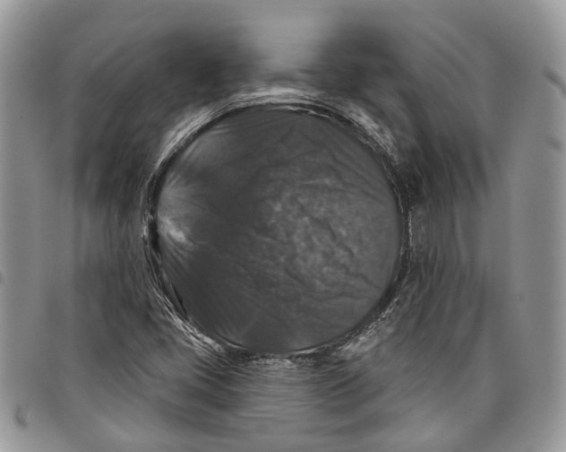 X0000097791405200803281713