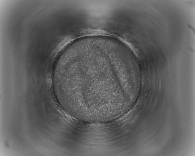X0000097791407200803281713