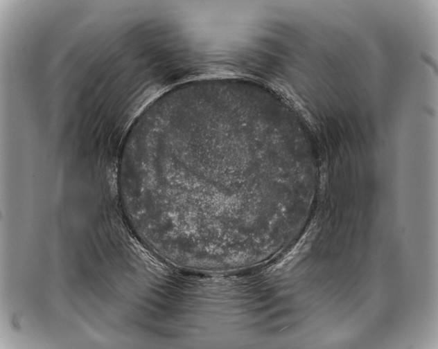 X0000097791409200803281713