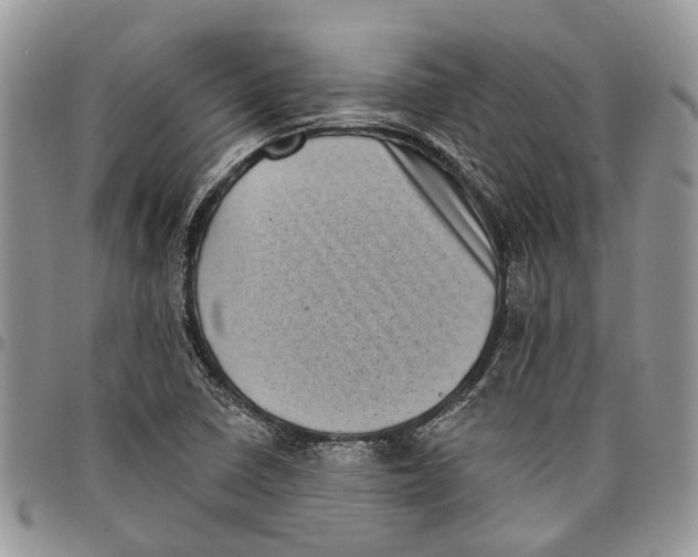 X0000097791410200803281713