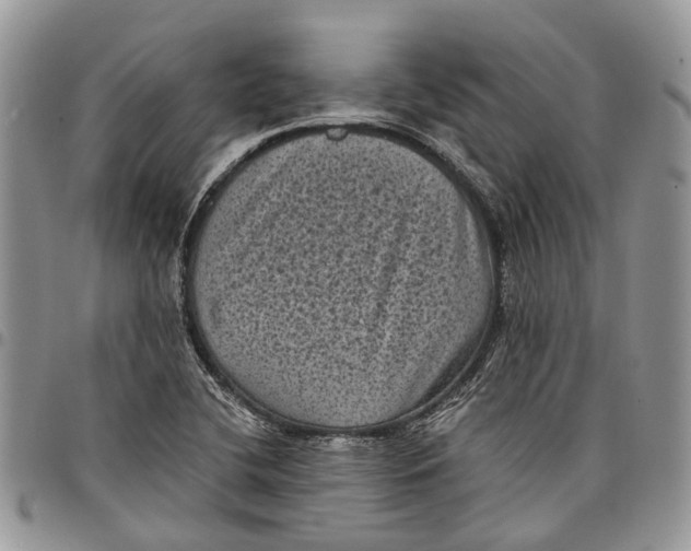 X0000097791412200803281713