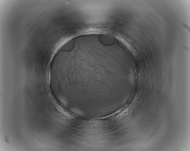 X0000097791413200803281713