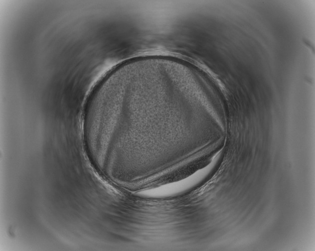 X0000097791416200803281713