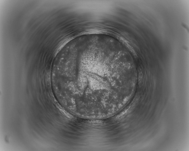 X0000097791417200803281713