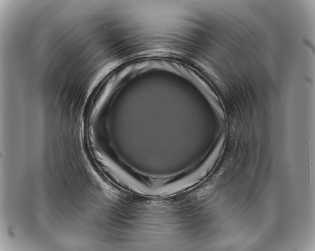 X0000097791418200803281713