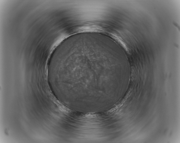 X0000097791419200803281713