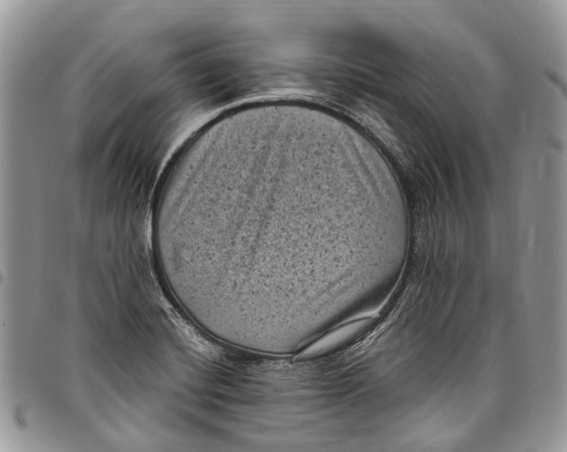 X0000097791420200803281713