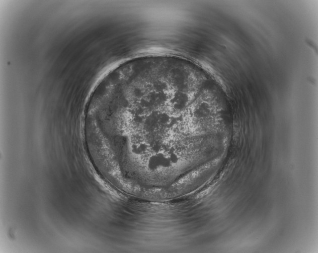 X0000097791421200803281713