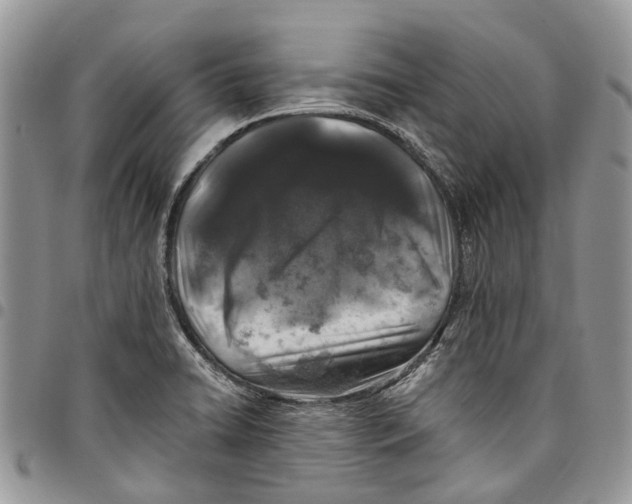 X0000097791422200803281713