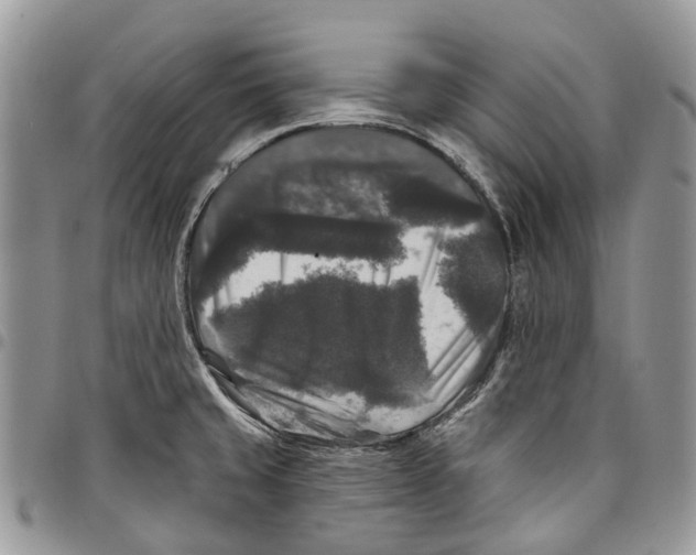 X0000097791429200803281714