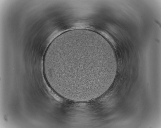 X0000097791431200803281714
