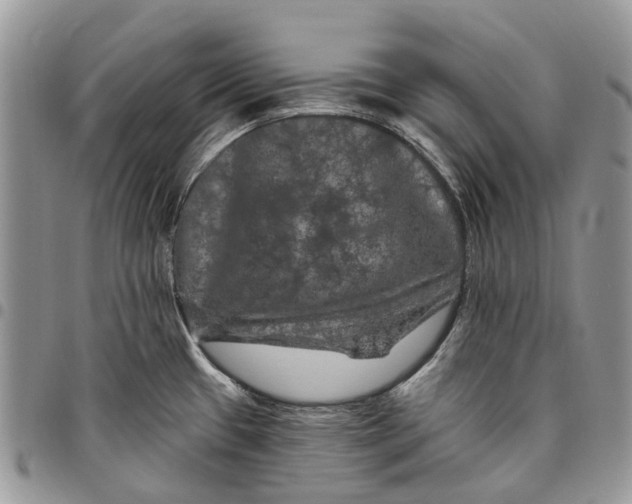 X0000097791433200803281714