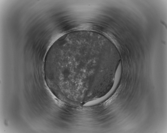 X0000097791434200803281714