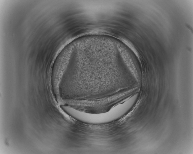 X0000097791437200803281714