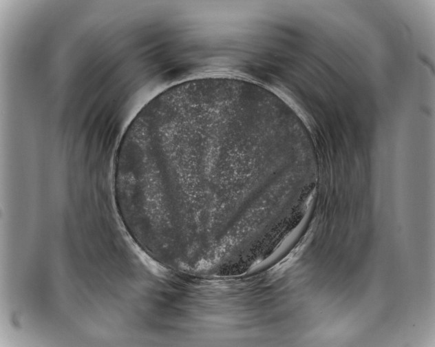 X0000097791438200803281714